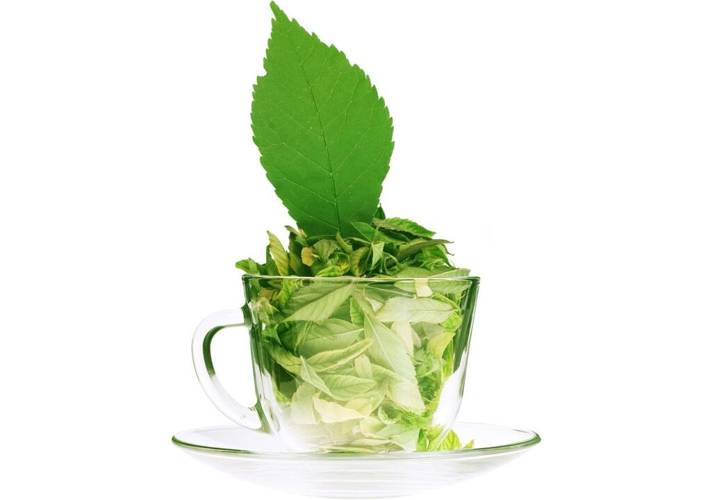 green tea to treat varicose veins