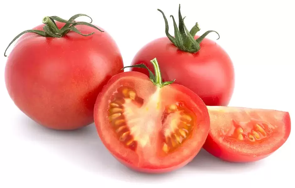 tomatoes back